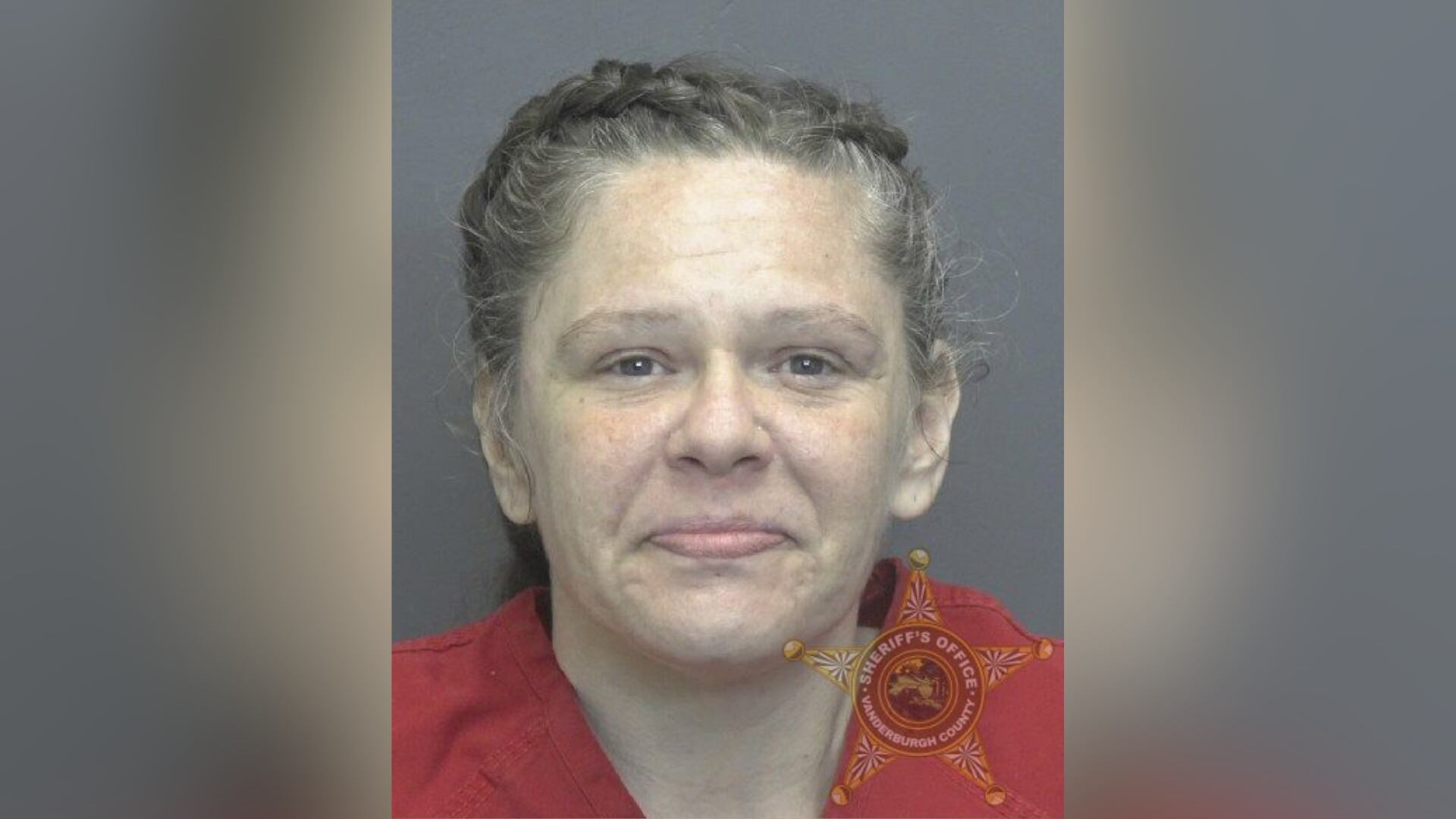 Dogs removed from feces, urine, and bug covered home, police say