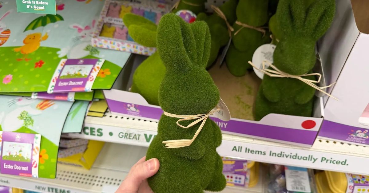 11 random Dollar Tree finds over $1.25 this March that are worth it ...