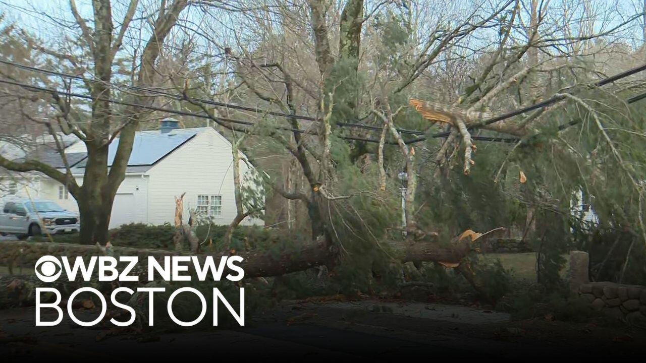 Fallen trees, power outages scattered across Massachusetts after storm