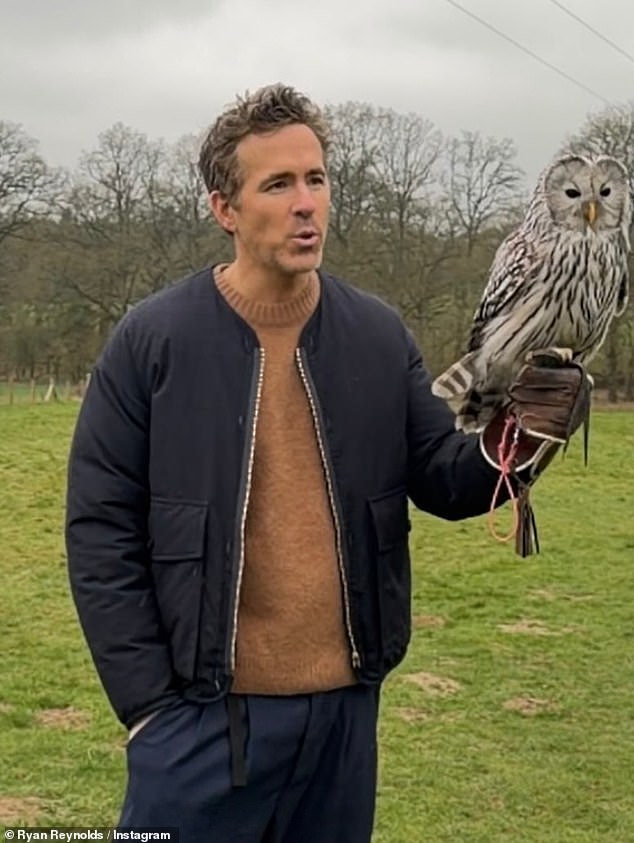 Blake Lively and Ryan Reynolds pose for rare snaps as they reflect on ...