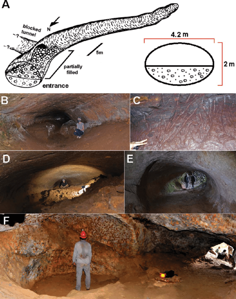 Scientists just discovered huge underground tunnels in South America ...