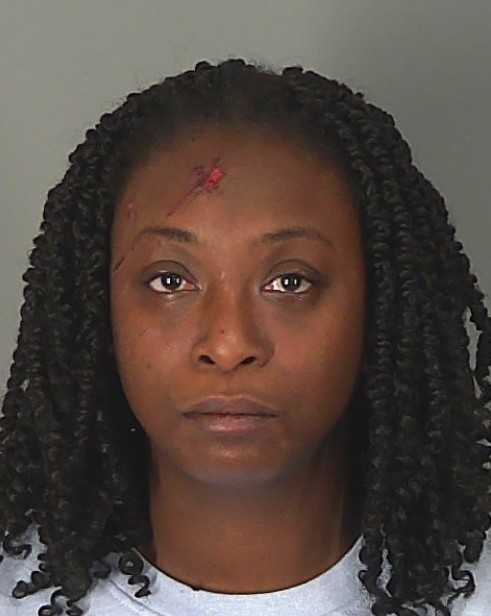 Woman charged with DUI after 8-year-old killed in Upstate crash ...