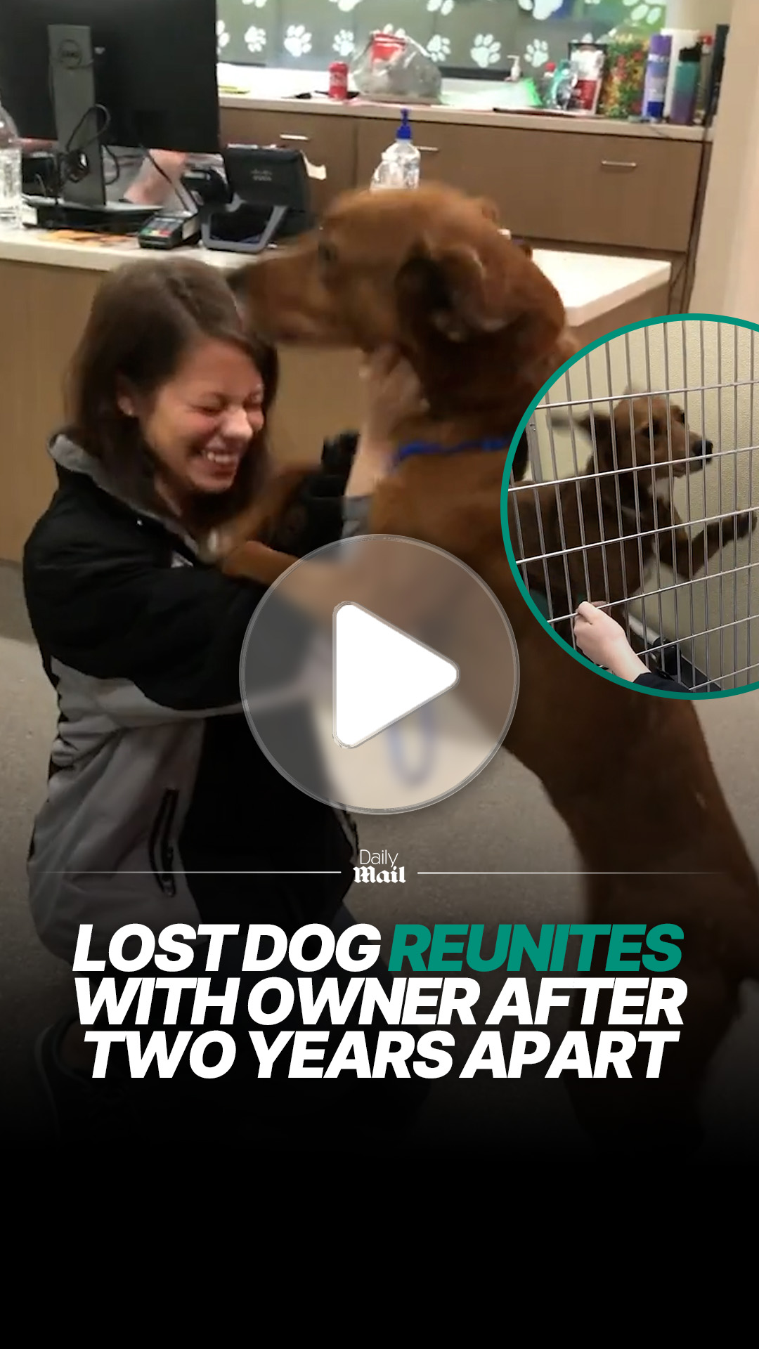 Lost dog reunites with owner after two years apart