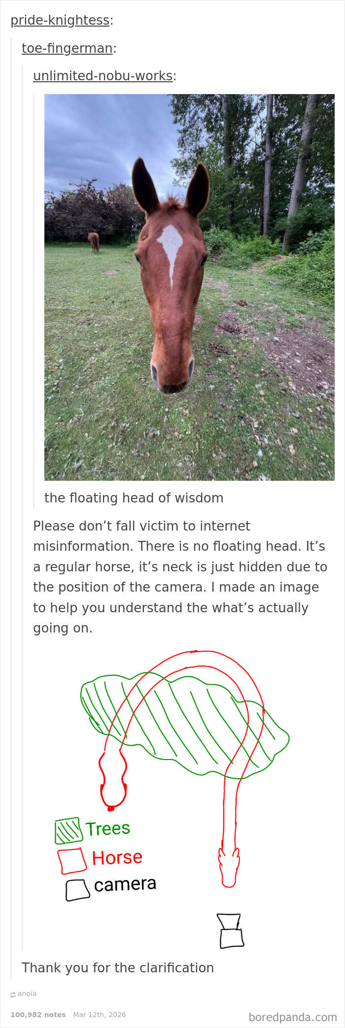 81 Tumblr posts that prove the humor there is one-of-a-kind