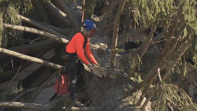 Trees come down on homes, cars as powerful winds push through southern ...