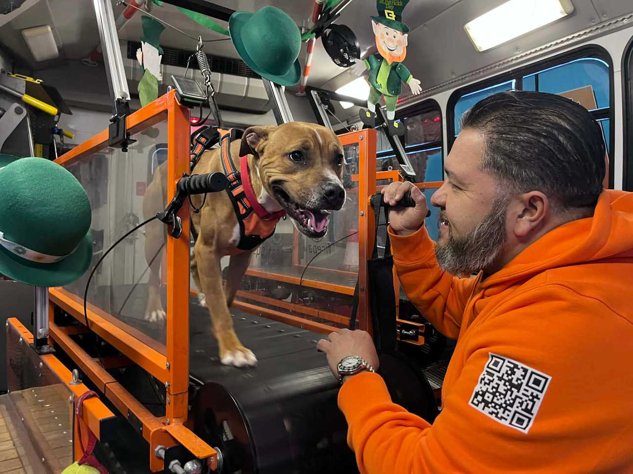 NJ army vet's doggie treadmill bus inspired by own dog's breakdown ...