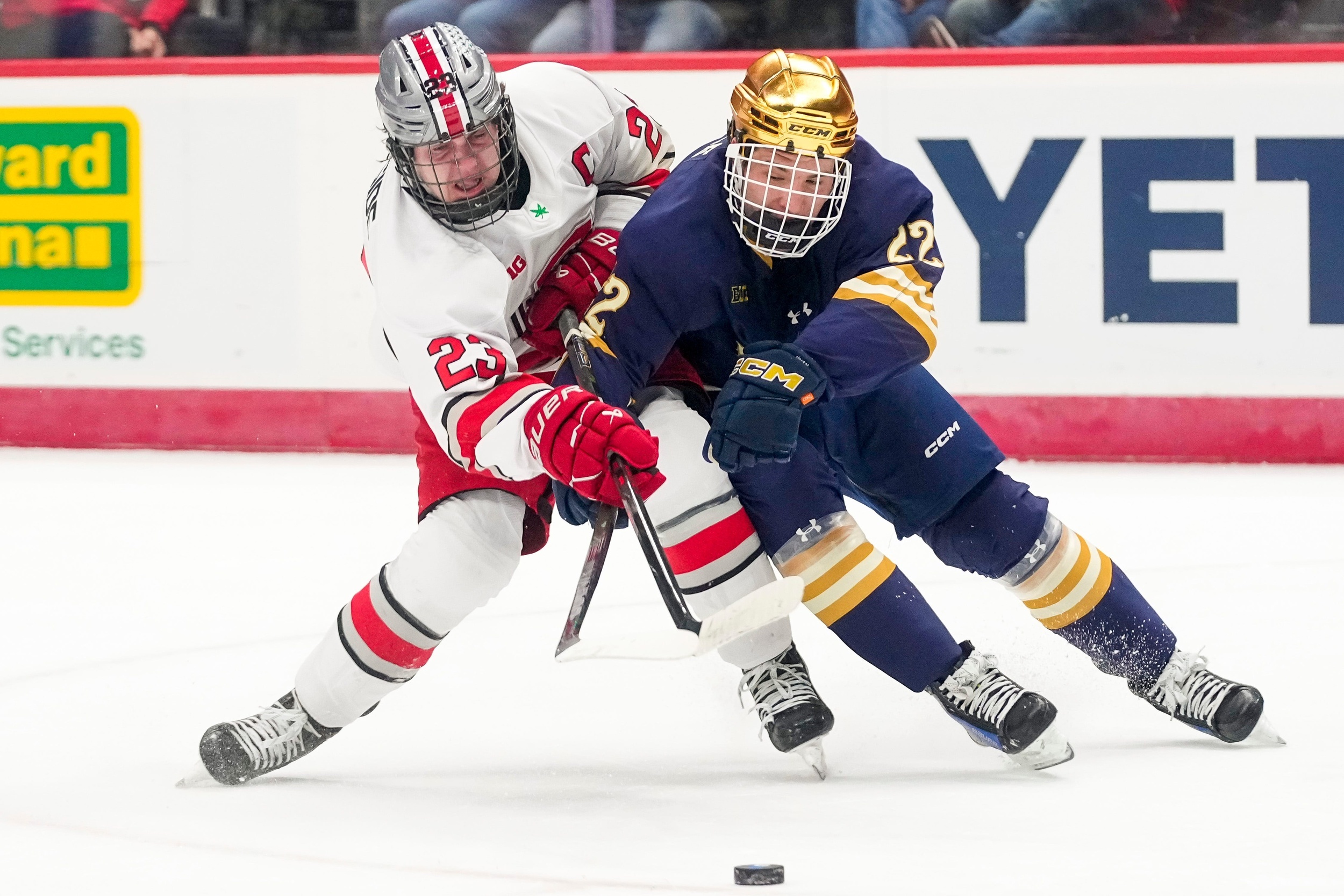Flyers sign Cole Knuble to entry-level deal