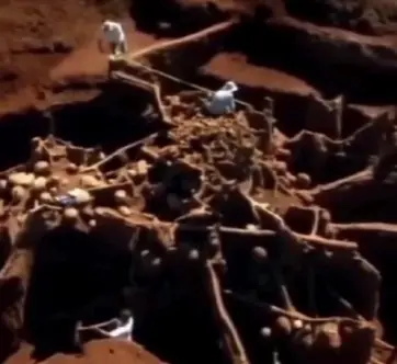 Cientistas despejam cimento dentro de colônia de formigas e descobrem arquitetura escondida