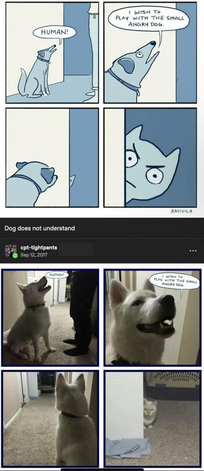 81 Tumblr posts that prove the humor there is one-of-a-kind