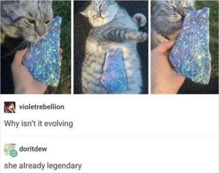 81 Tumblr posts that prove the humor there is one-of-a-kind