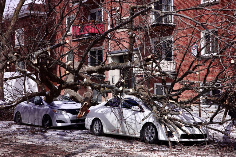 Update: Thousands still without power after strong winds batter Quebec