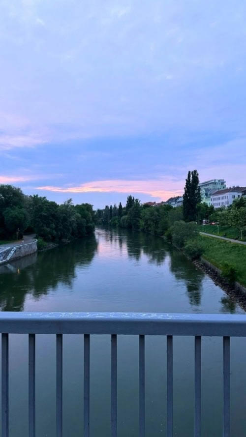 Vienna, composed: Cafés, architecture and the discipline of grace