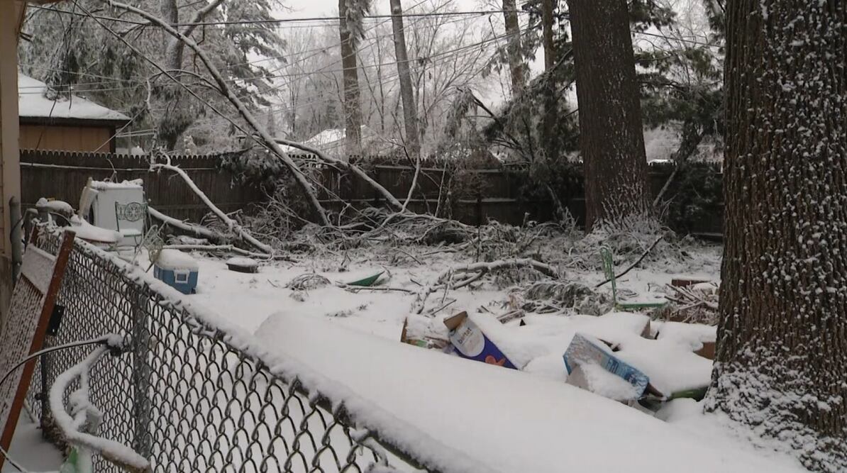 Whitmer declares state of emergency in 7 counties following winter storm