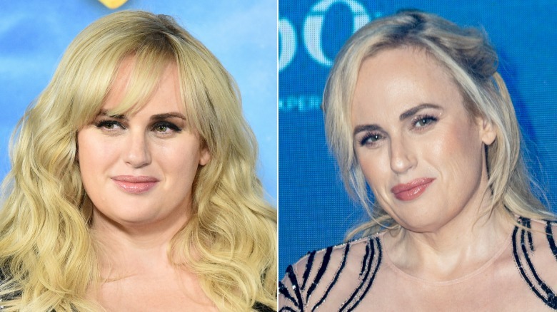 Before-and-after pics make Rebel Wilson's face transformation from ...