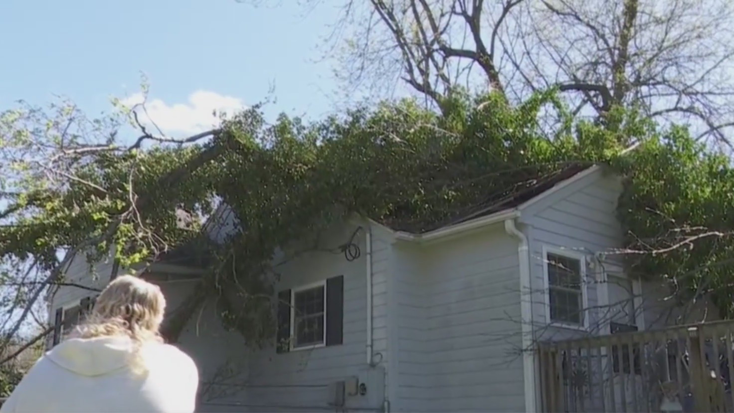 Graham family cleaning up after tree falls on home