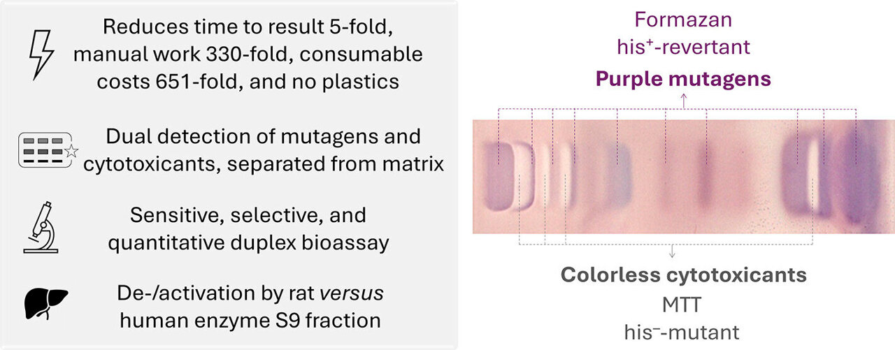 What's in your lipstick and water? New test flags hidden mutagens