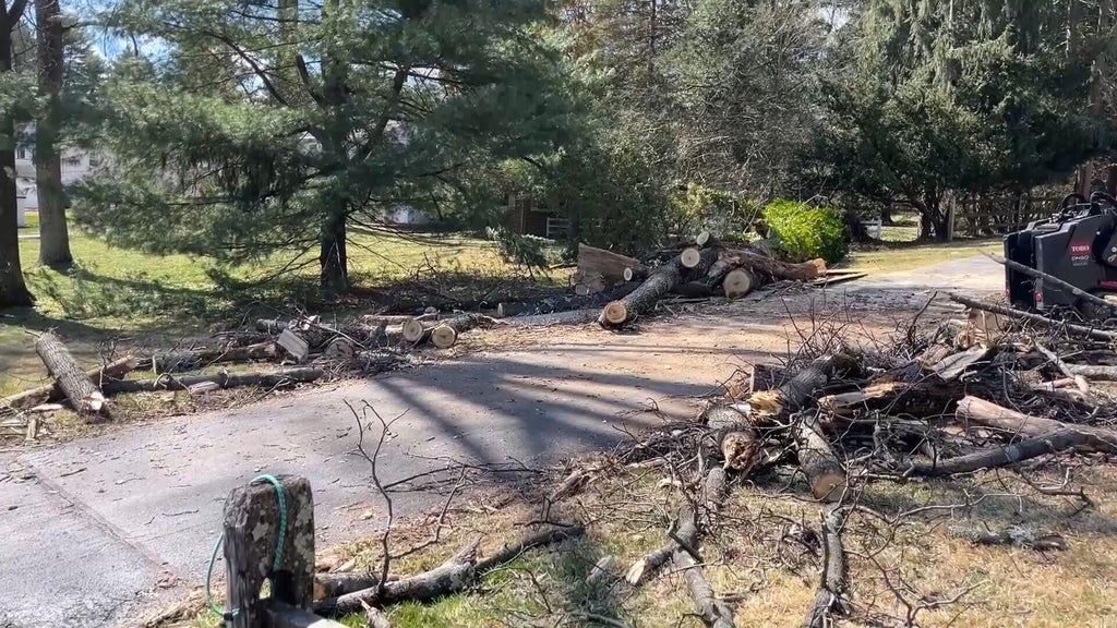 Worker killed after tree falls in Newtown Square, Pennsylvania