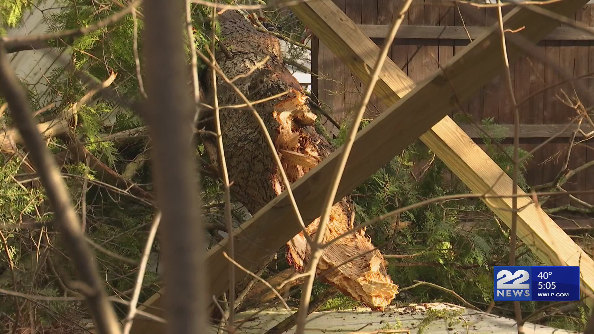 Storm damage leaves thousands without power in western Massachusetts
