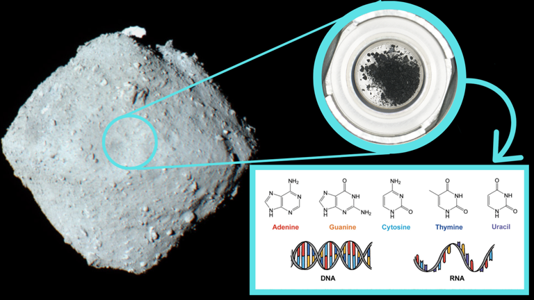Ryugu asteroid sample contains all five key components of DNA ...
