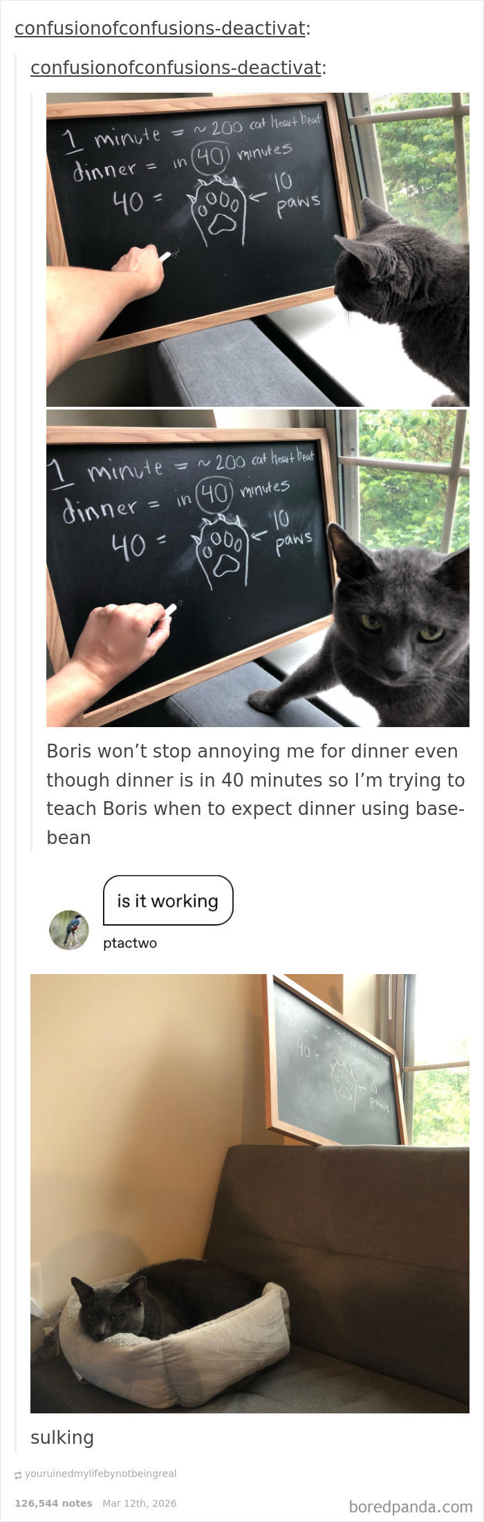 81 Tumblr posts that prove the humor there is one-of-a-kind
