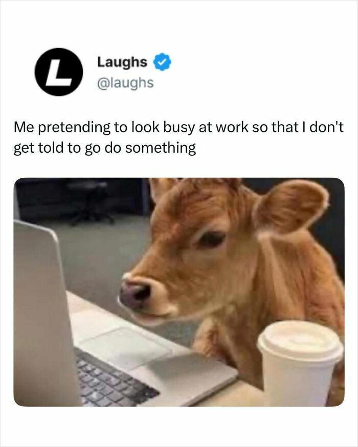 58 relatable memes for people who laugh to survive