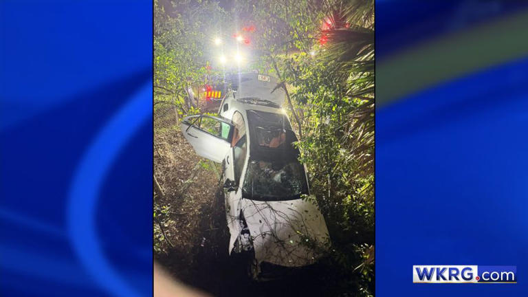 2 Navy sailors rescue driver from submerged car in Florida