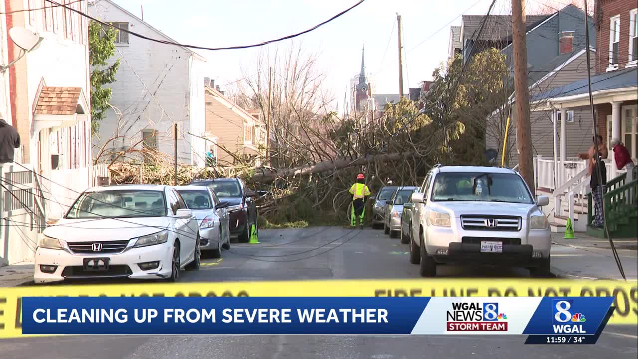 Crews work to make repairs after large tree fell on cars in Lancaster