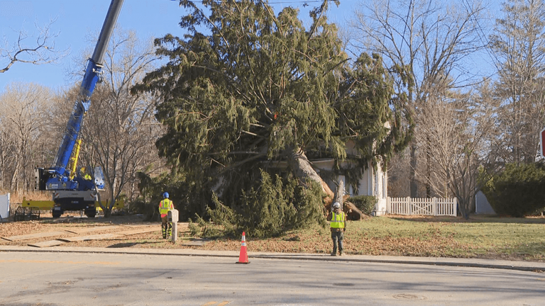 Trees come down on homes, cars as powerful winds push through southern ...