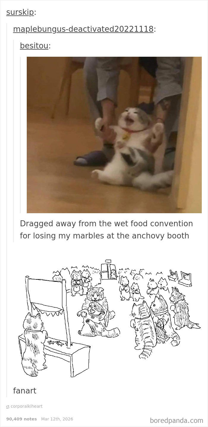 81 Tumblr posts that prove the humor there is one-of-a-kind