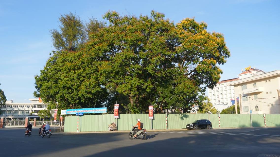 14 cây xanh giữ chân dự án 150 tỉ đồng ở Cần Thơ suốt 1 năm sau khởi công