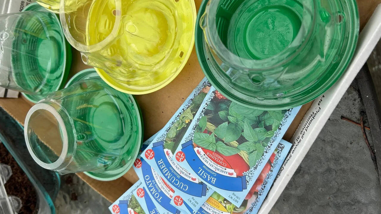 Creative recycling ideas to save money on gardening supplies