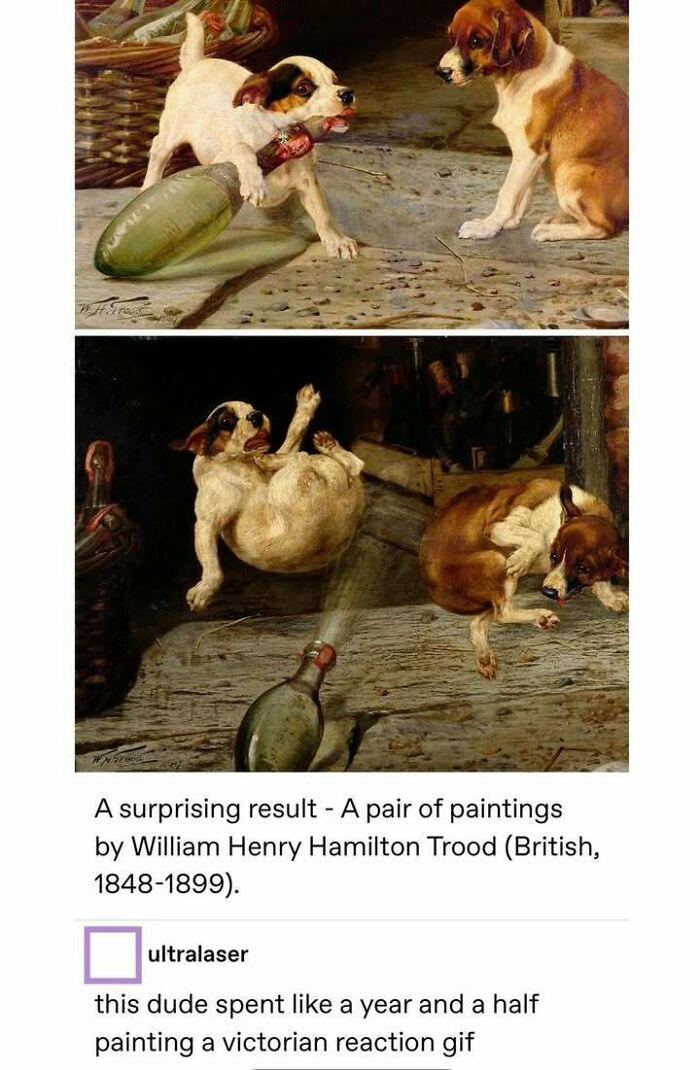 81 Tumblr posts that prove the humor there is one-of-a-kind