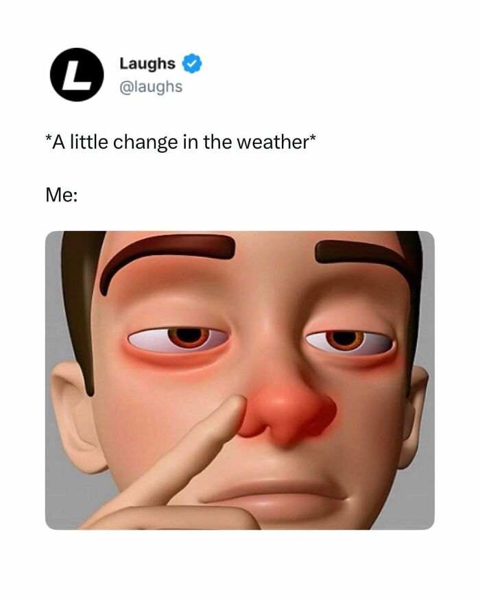 58 relatable memes for people who laugh to survive