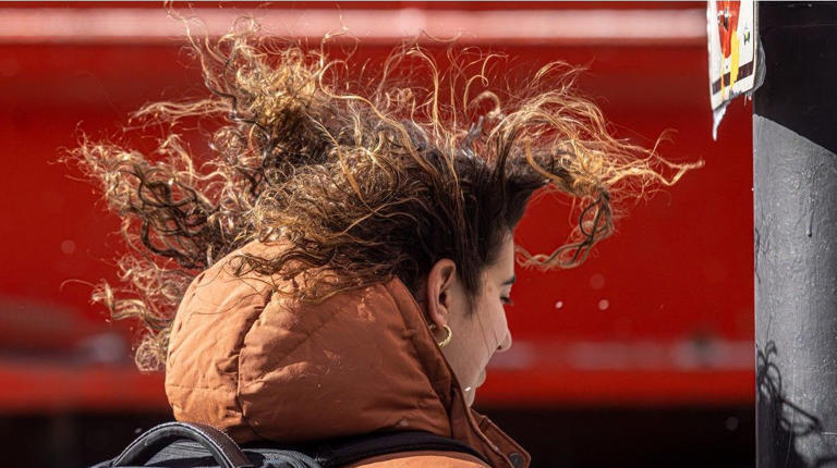 Update: Thousands still without power after strong winds batter Quebec
