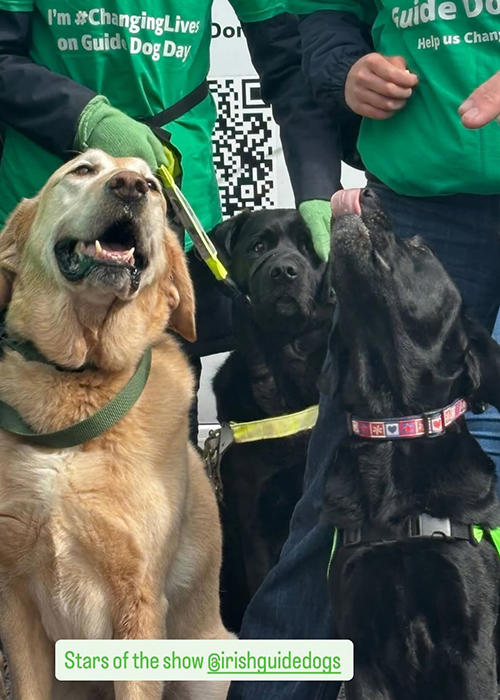 Zara King dubs Cork's Paddy's Day grand marshals 'best ever seen' (and ...