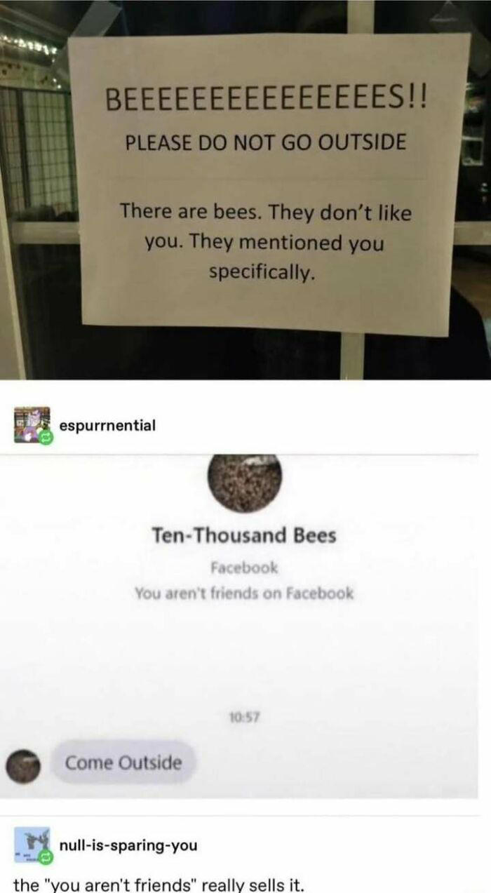 81 Tumblr posts that prove the humor there is one-of-a-kind