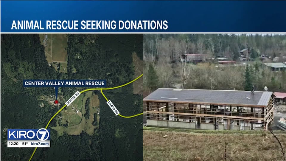 Video: Animal rescue seeking donations