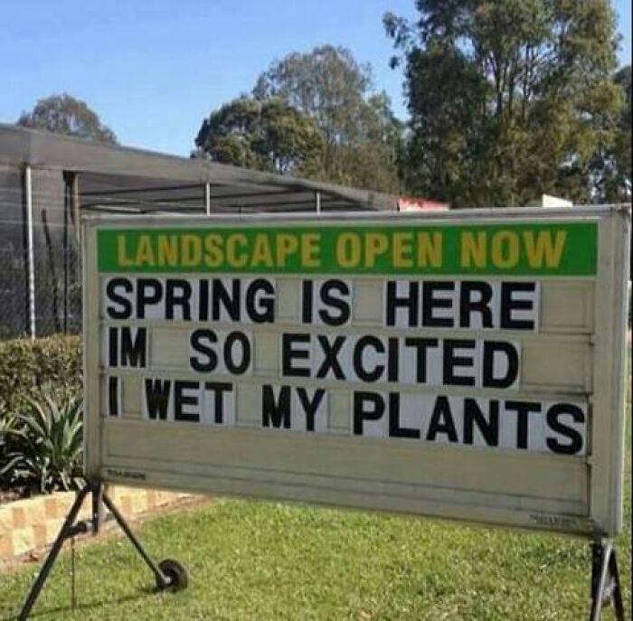 61 hilarious and silly signs that caught people’s attention