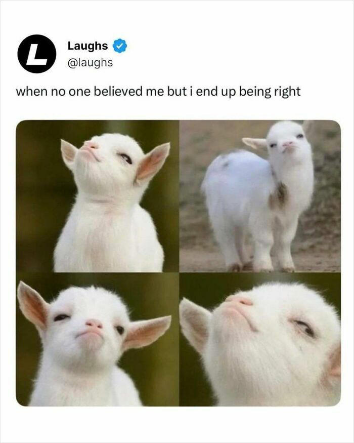 58 relatable memes for people who laugh to survive