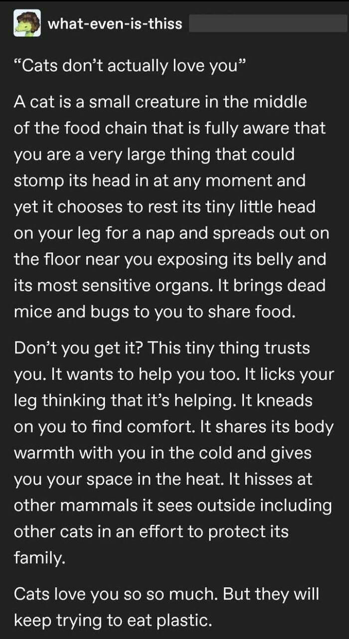 81 Tumblr posts that prove the humor there is one-of-a-kind