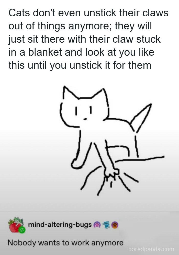81 Tumblr posts that prove the humor there is one-of-a-kind