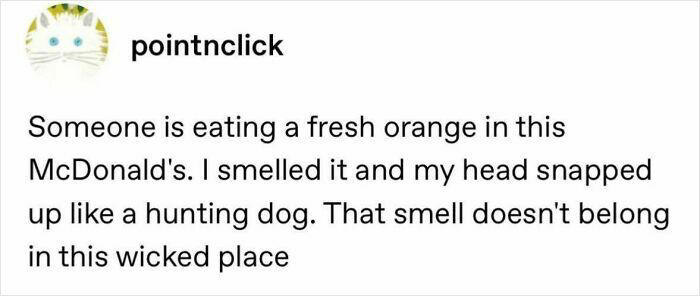 81 Tumblr posts that prove the humor there is one-of-a-kind