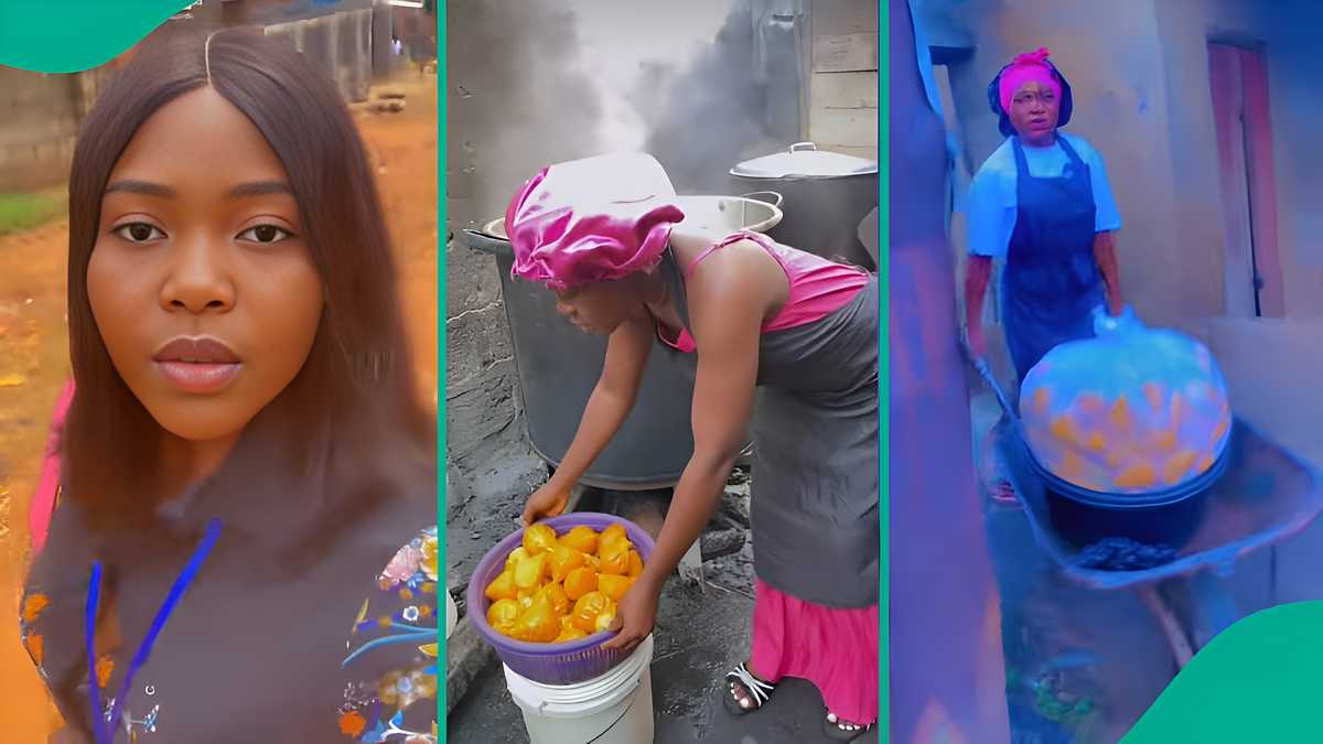Graduate with 2 certificates hawks food on wheelbarrow, Nigerians react