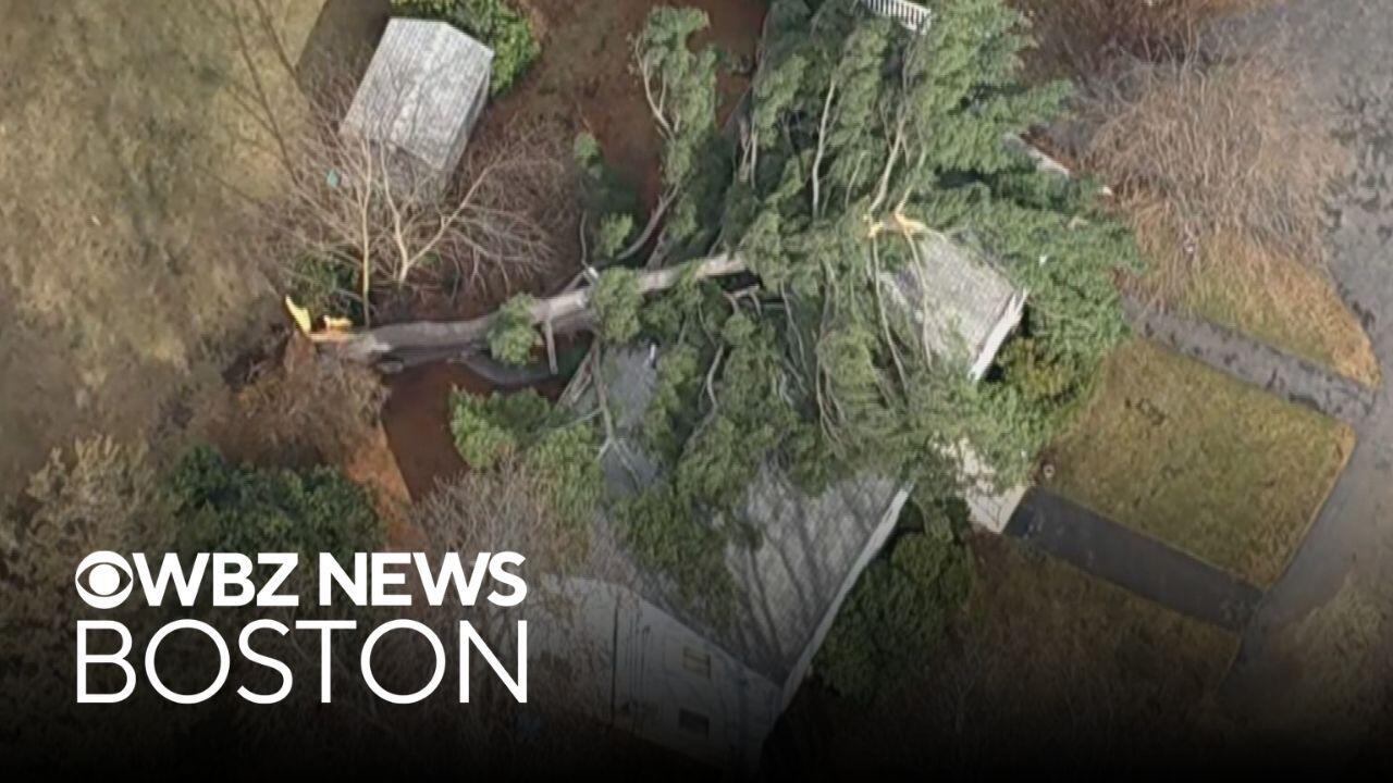 Massachusetts storm brings down trees, knocks out power to some