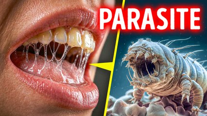 Researchers discover a new life form in human saliva