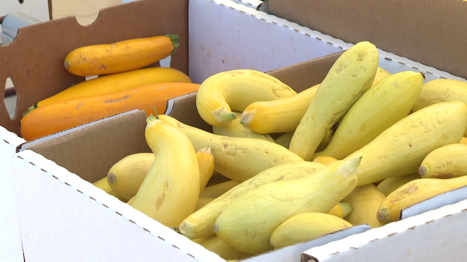 Colorado food program serves more than 15 million meals and snacks ...