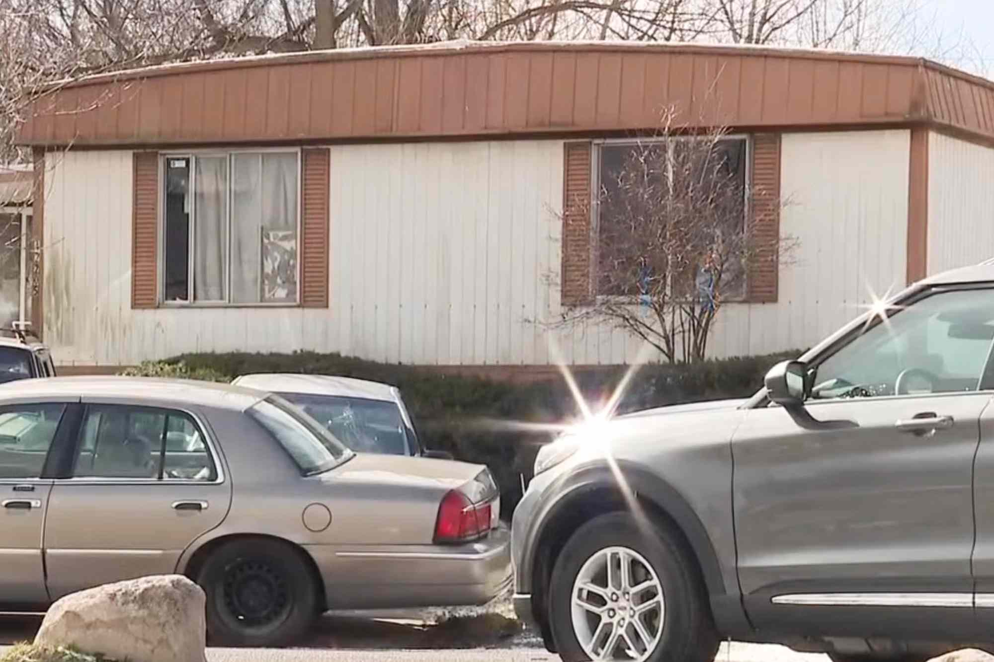 5-day-old baby mauled to death by family dog after being brought home ...