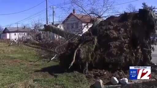 Cleanup continues after overnight storm brings down trees, wires
