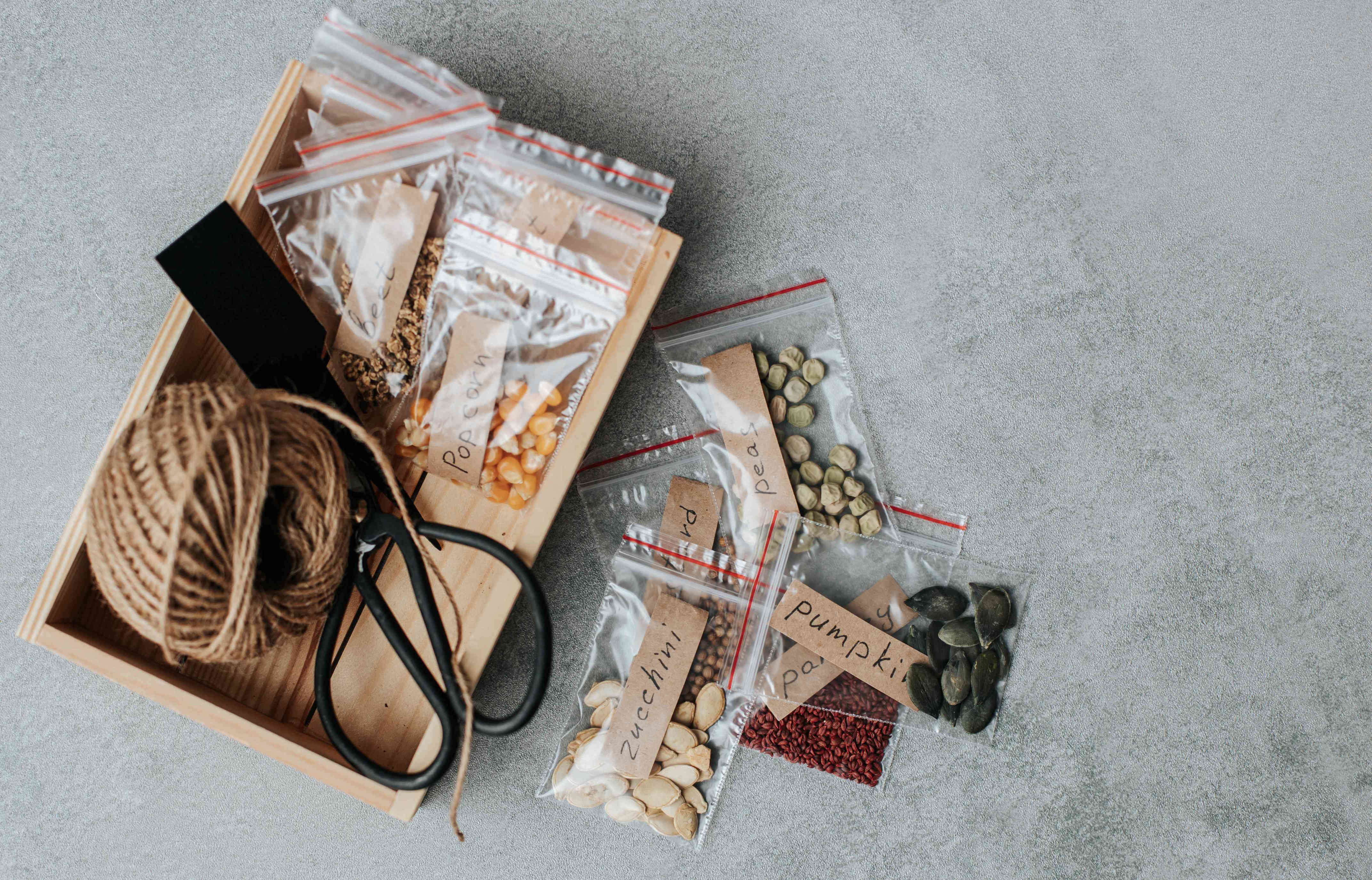 5 simple tips to store your garden seeds and keep them fresh year after ...