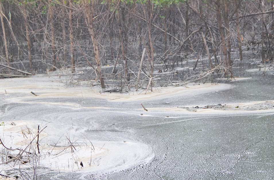 Xử phạt 180 triệu đồng doanh nghiệp vi phạm môi trường